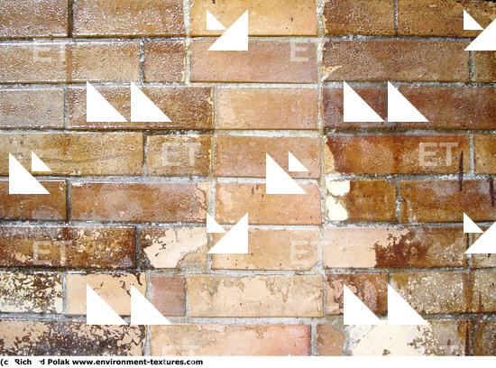 Wall Bricks Damaged