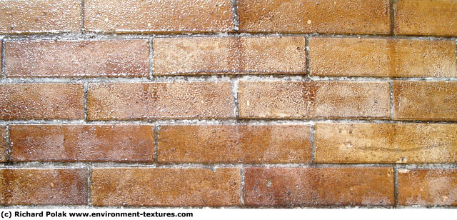 Wall Bricks Damaged