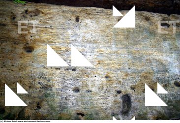 Various Walls Stones