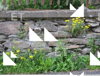 Various Walls Stones