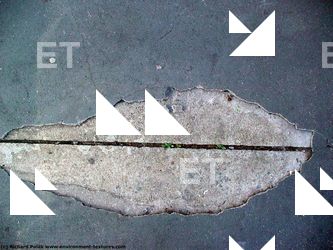 Walls Plaster Damaged