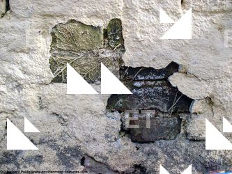 Walls Plaster Damaged