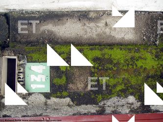 Various Walls Stones