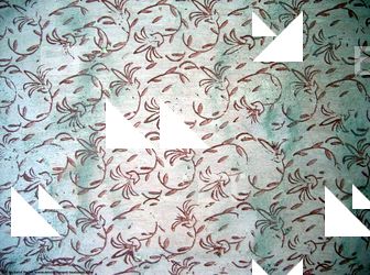 Walls Plaster Damaged