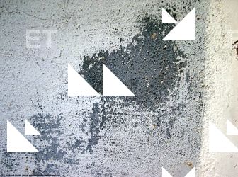 Walls Plaster Damaged