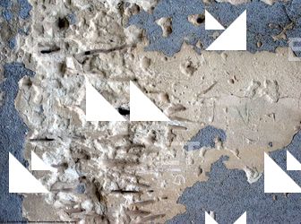 Walls Plaster Damaged