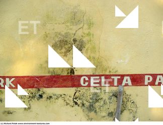 Walls Plaster Damaged