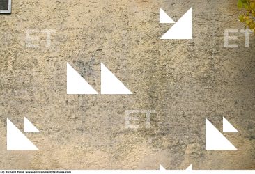 Walls Plaster Damaged