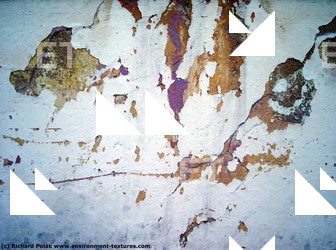 Walls Plaster Damaged