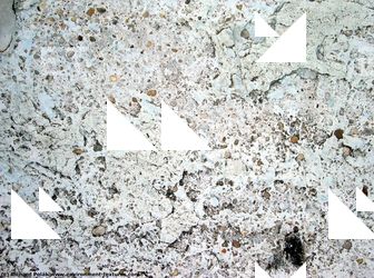 Walls Plaster Damaged