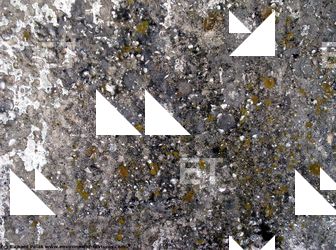 Walls Plaster Damaged