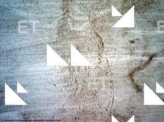 Walls Plaster Damaged