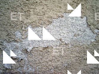 Wall Plaster Paint Peeling
