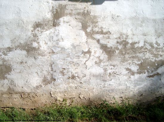 Walls Plaster Damaged