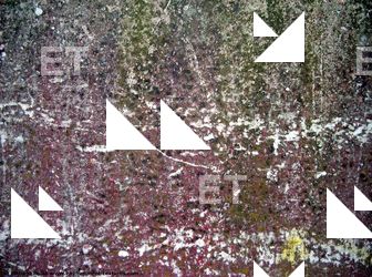 Walls Plaster Damaged