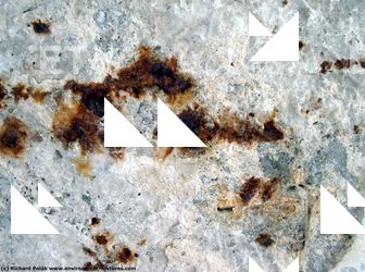 Walls Plaster Damaged