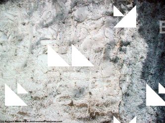 Walls Plaster Damaged