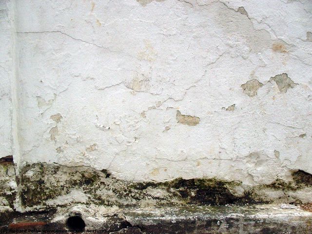 Walls Plaster Damaged