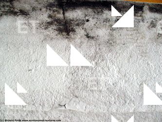 Walls Plaster Damaged