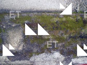 Various Walls Stones