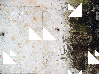 Walls Plaster Damaged