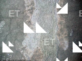 Walls Plaster Damaged