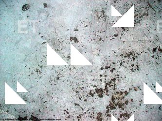 Walls Plaster Damaged