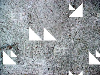 Walls Plaster Damaged