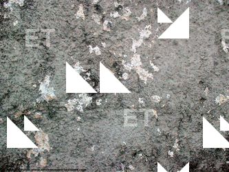 Walls Plaster Damaged