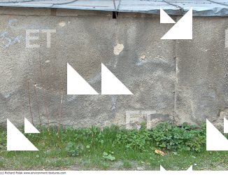 Wall Plaster Leaking