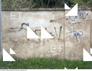 Walls Plaster Damaged