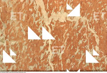 Walls Plaster Damaged