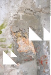Walls Plaster Damaged