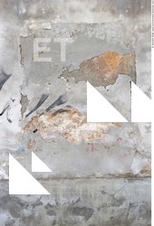 Walls Plaster Damaged