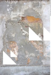 Walls Plaster Damaged