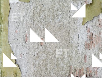 Walls Plaster Damaged