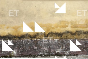 Walls Plaster Damaged