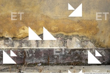 Walls Plaster Damaged