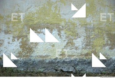 Walls Plaster Damaged