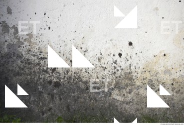 Walls Plaster Damaged