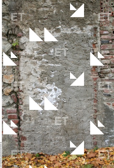 Walls Plaster Damaged