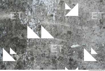 Walls Plaster Damaged