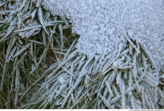 Frozen Ground