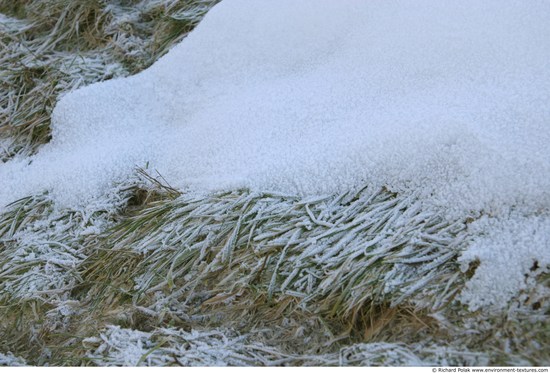 Frozen Ground