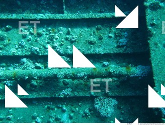 Photo Reference of Shipwreck