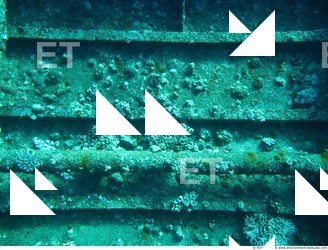 Photo Reference of Shipwreck