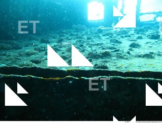 Photo Reference of Shipwreck