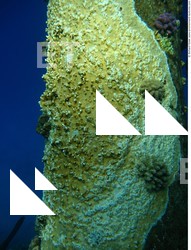 Photo Reference of Shipwreck