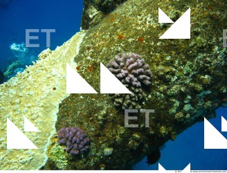 Photo Reference of Shipwreck