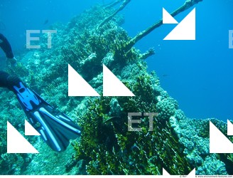 Photo Reference of Shipwreck